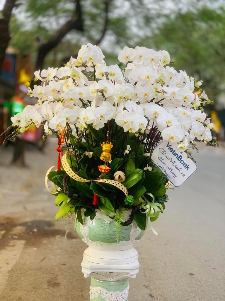 Shop Hoa Tươi Quận Liên Chiểu Đà Nẵng - Lan Hồ Điệp