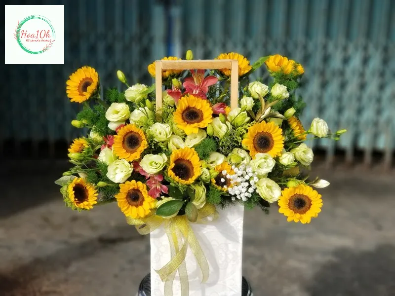 Mẫu hoa hướng dương tặng bạn bè người thân