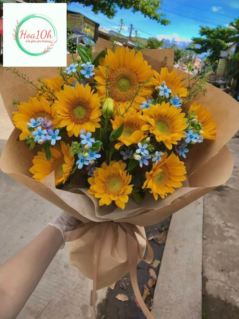 Mẫu hoa hướng dương kết hợp hoa nhí xang dương