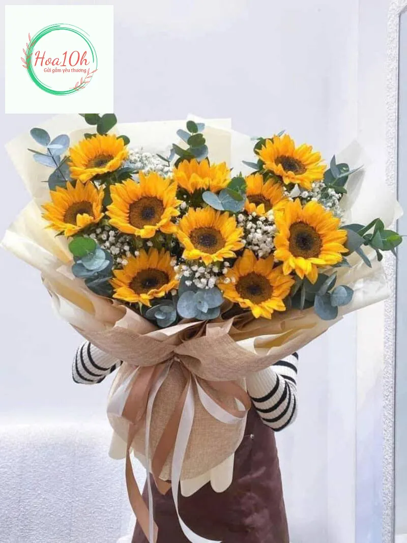 Mẫu hoa hướng dương kết hợp với lá đô la ngoại