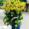 Bình lan hồ điệp vàng tặng Sếp, Cơ quan, Công ty 25 cành.