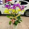 Bình Lan Hồ Điệp 9 cành vàng, tím, trắng