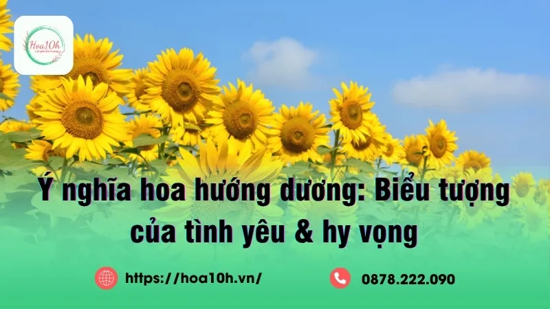 Ý nghĩa hoa hướng dương là hình ảnh tràn đầy năng lượng, đầy sức sống