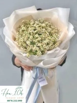Bó hoa cúc tana ý nghĩa, đẹp