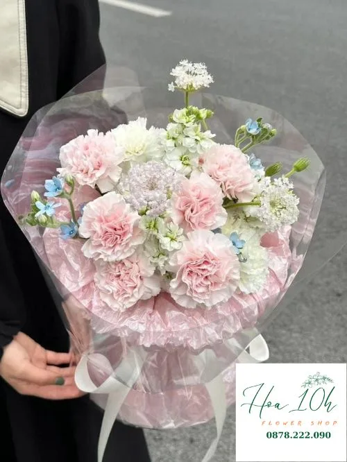 Bó Hoa Cẩm Chướng Hồng, thủy tiên, sao xanh.