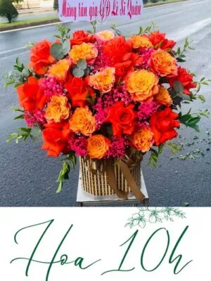 Viên Mãn - Lẵng hoa mừng tân gia, khai trương.