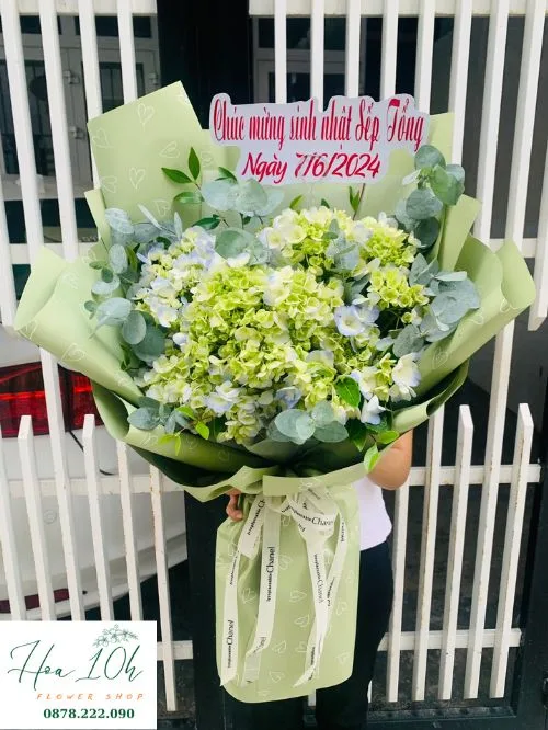 Bó hoa cẩm tú cầu