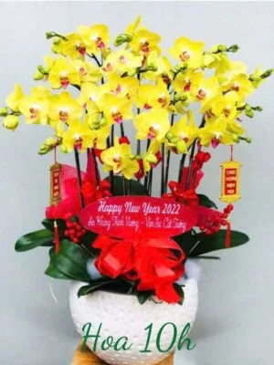 Lan hồ điệp vàng phú quý 14 cành