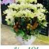 Lan hồ điệp xanh lơ 20 cành mix lũa gỗ đẹp, độc đáo.