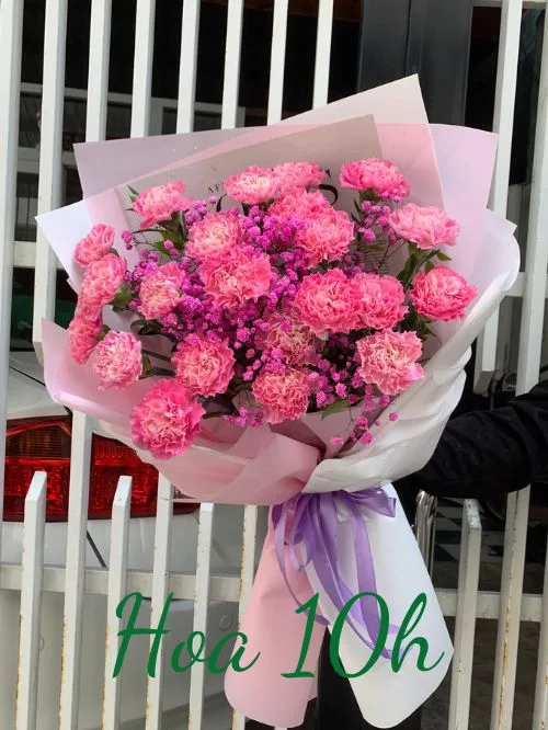 Bó hoa cẩm chướng hồng đẹp, ý nghĩa