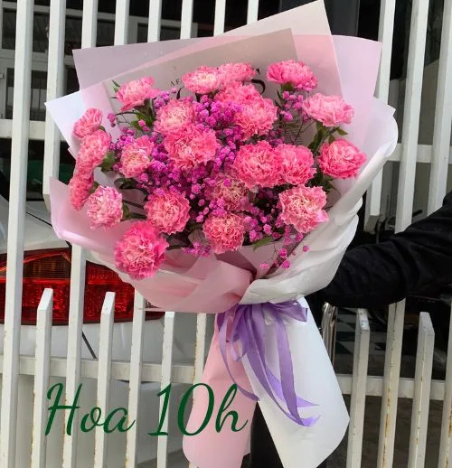 Bó hoa cẩm chướng đẹp