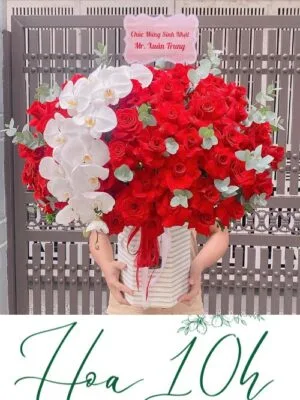 lẵng hoa hồng đỏ pháp mix lan hồ điệp sang trọng