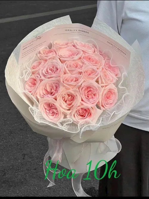 Bó hoa ohara hồng xinh xắn, dễ thương