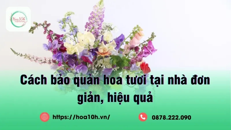 Cách bảo quản hoa tươi đơn giản ai cũng có thể dễ dàng làm được