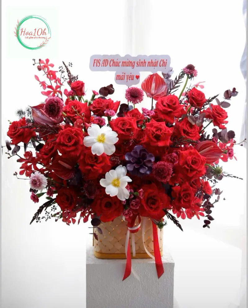 Mẫu hoa sinh nhật đỏ rực rỡ