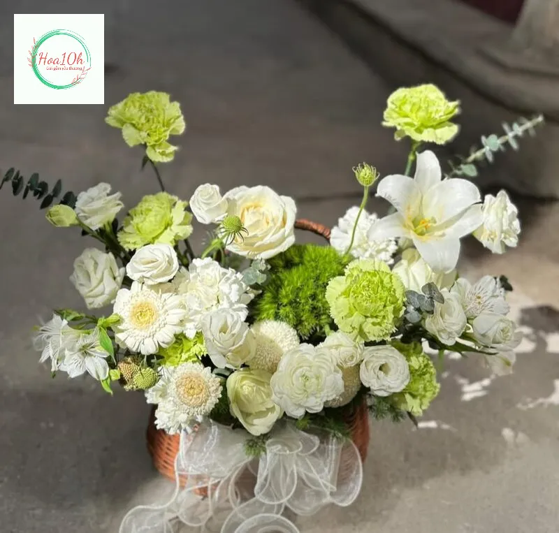 Mẫu hoa sinh nhật tặng người lớn