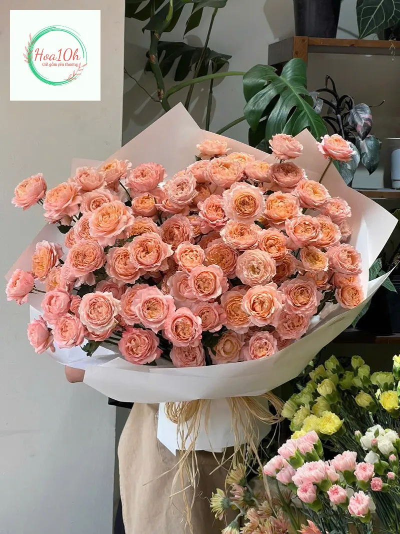 Mẫu hoa tặng đối tác tinh tế nhã nhặn