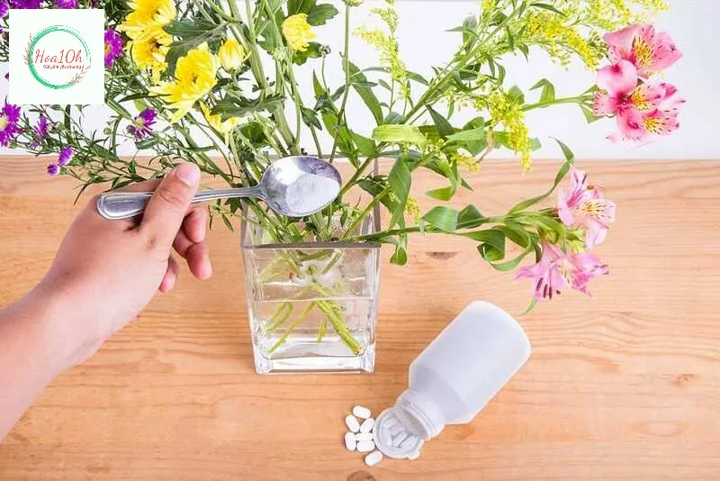 Pha với thuốc B1 giúp hoa tươi lâu hơn