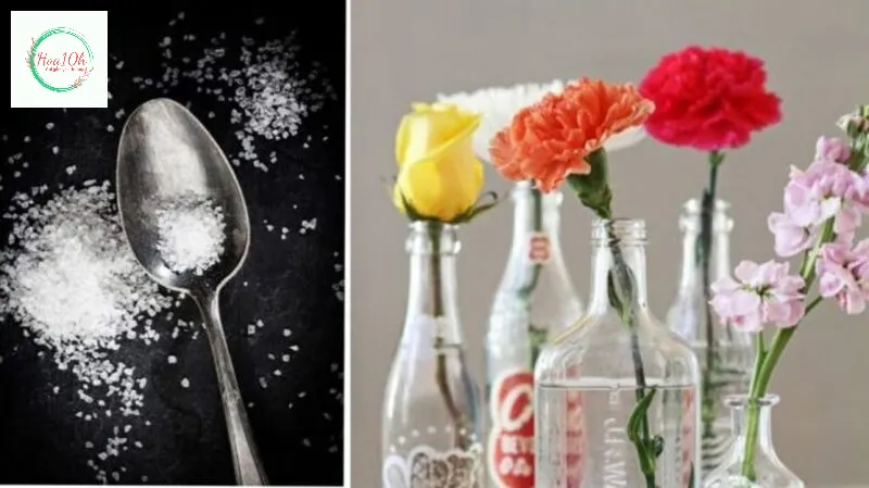 Sử dụng đường và chanh giúp kéo dài tuổi thọ của hoa