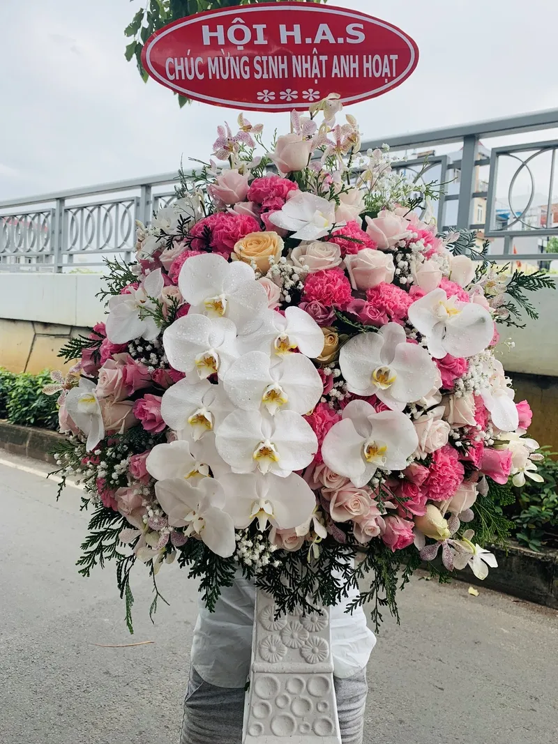 Mẫu bình hoa lan chúc mừng sinh nhật cha mẹ, ông bà, sếp,... sang trọng
