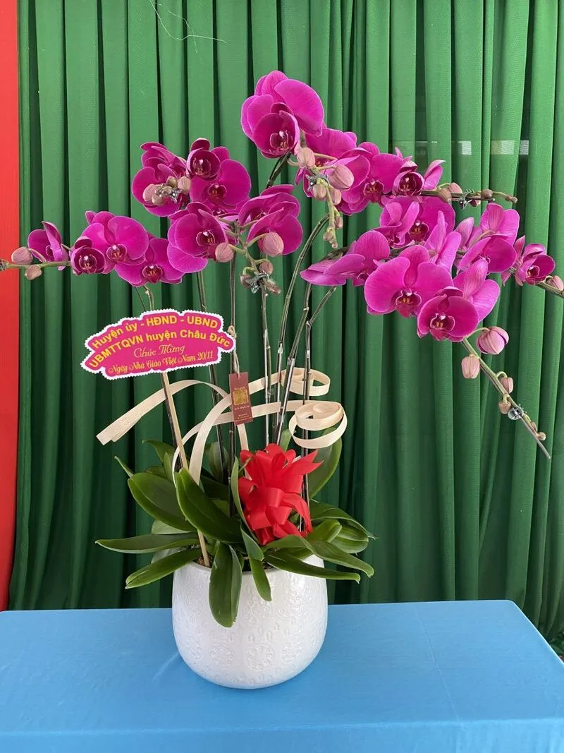 Bình hoa ly tặng thầy cô chúc mừng ngày 20/11