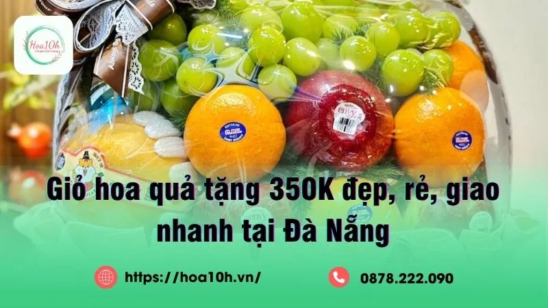 Giỏ hoa quả nhập khẩu cao cấp - Món quà ý nghĩa cho mọi dịp