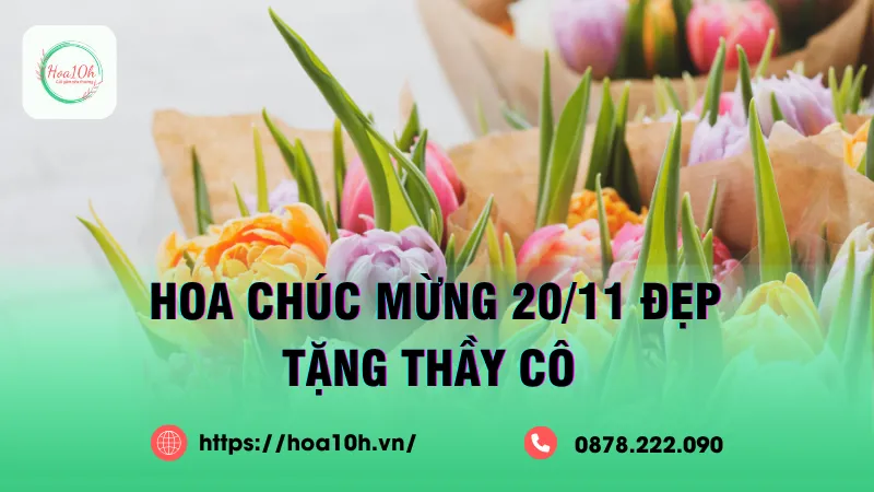 Hoa chúc mừng 20/11 đẹp, sang trọng dành tặng thầy cô