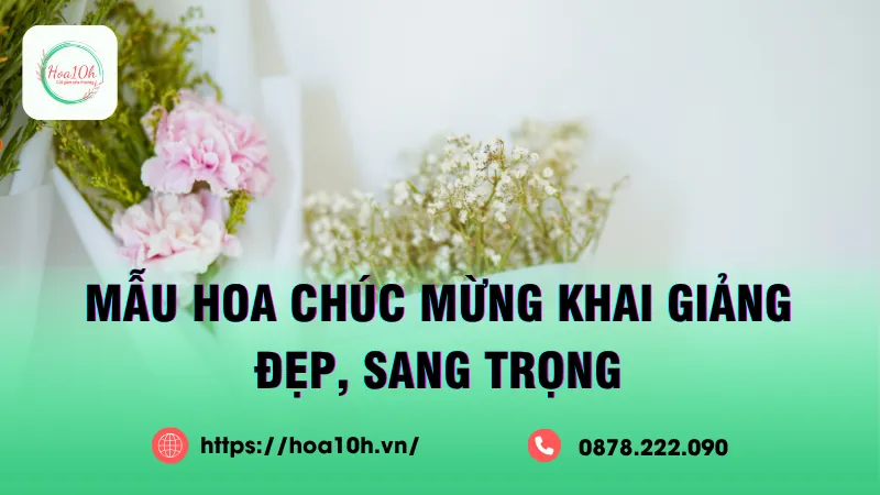Hoa khai giảng đẹp – gợi ý hoa tặng thầy cô ý nghĩa nhất