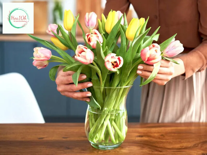 Thay nước cắm hoa thường xuyên để hoa dễ dàng hấp thu