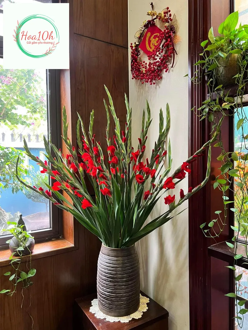 Bình hoa Lay Ơn Với vẻ ngoài cao ráo, thẳng tắp và mạnh mẽ