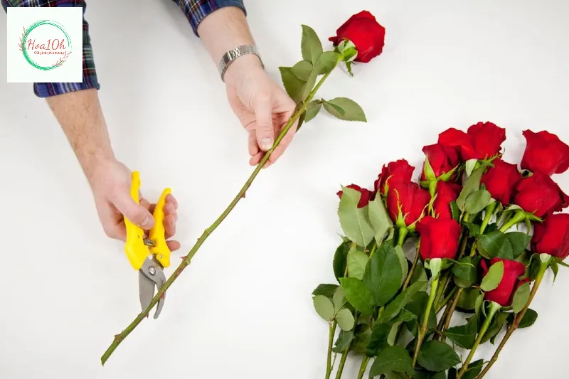 Đi hoa chính trước xác định các điểm bố trí hoa phù hợp
