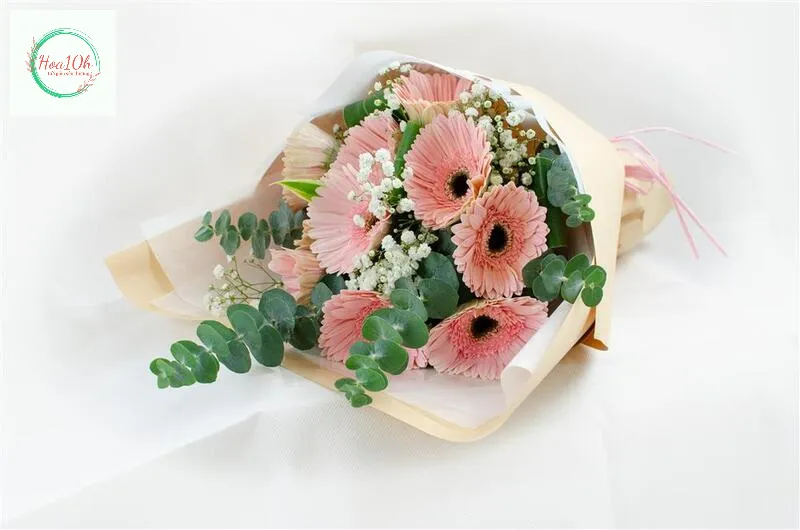 Hoa Đồng Tiền Mang ý nghĩa may mắn, tài lộc và niềm vui.