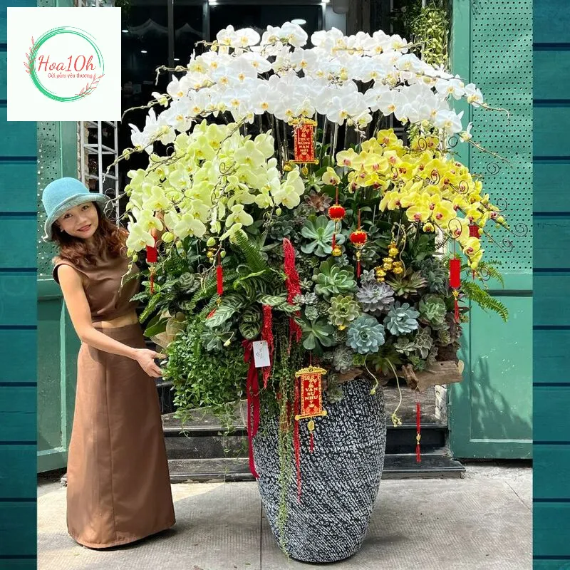 Hoa Lan Hồ Điệp tặng hoa khai trương ý nghĩa tốt đệp về tài lộc