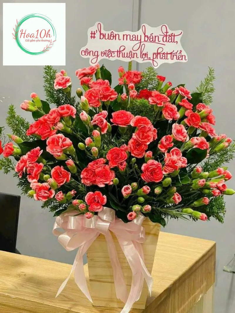 Hoa cát tường loài hoa này gửi gắm lời chúc mở khởi đầu thuận lợi
