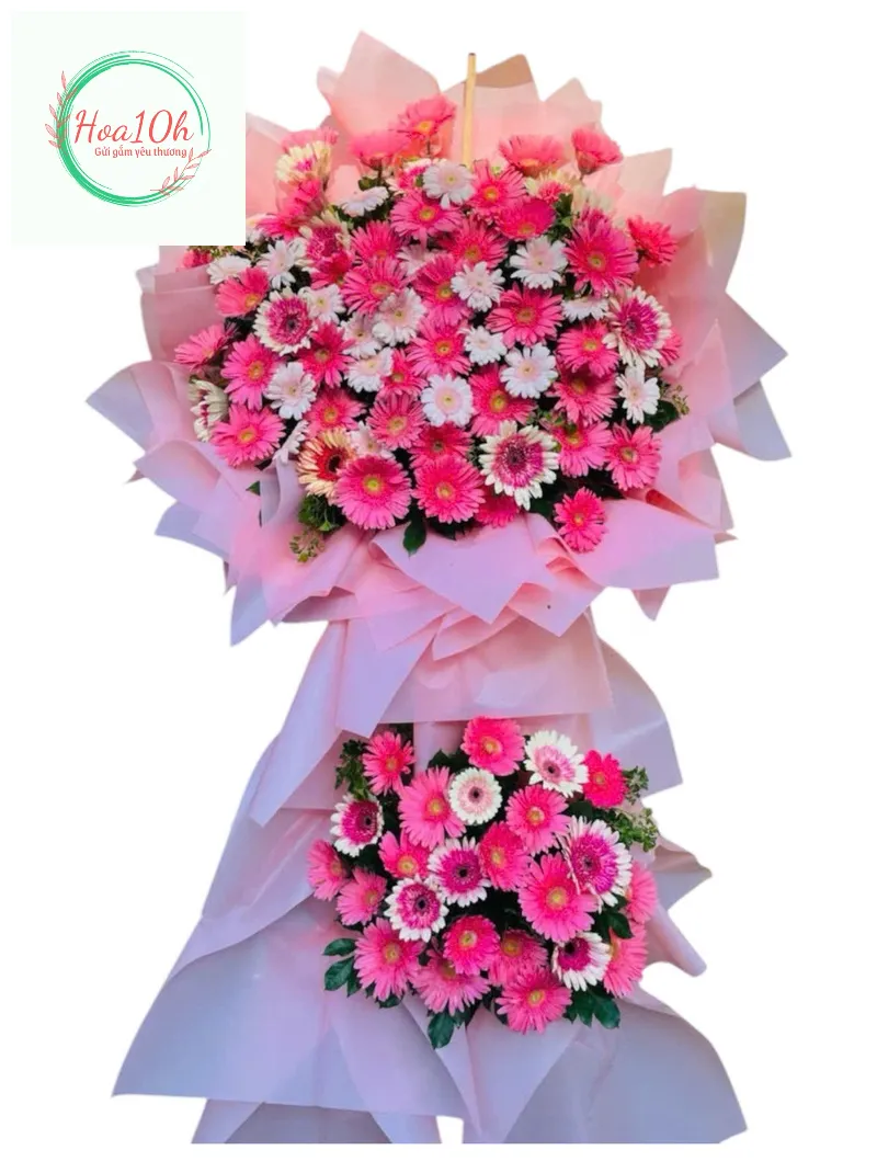 Hoa đồng tiền loài hoa tượng trưng cho tiền tài tràn đầy và sự phát đạt.
