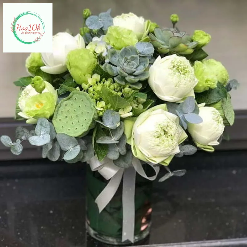 Một chậu cây nhỏ (Sen đá, Xương rồng) thể hiện sự cứng cáp