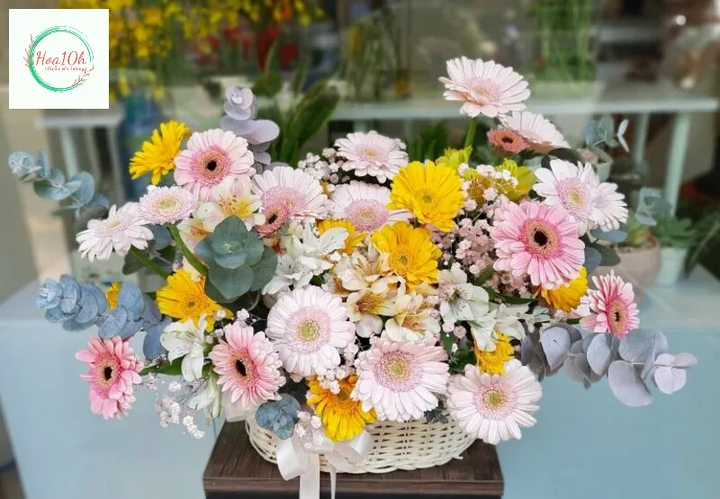Tặng hoa cho nam nên tặng các màu sáng, tươi không quá rực rỡ