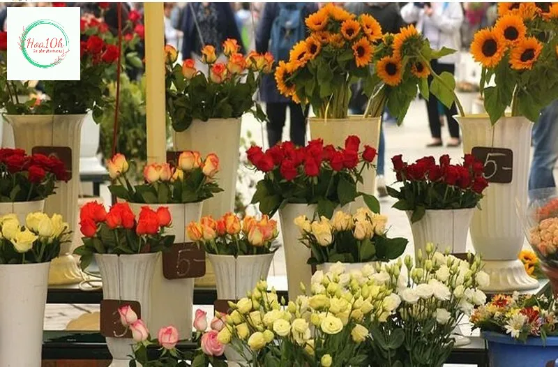 Chọn hoa tươi giúp bó hoa tươi lâu thể hiện được trọn vẹn vẻ đẹp của hoa