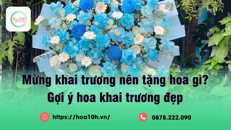 Khai trương nên tặng hoa gì cho đẹp và ý nghĩa