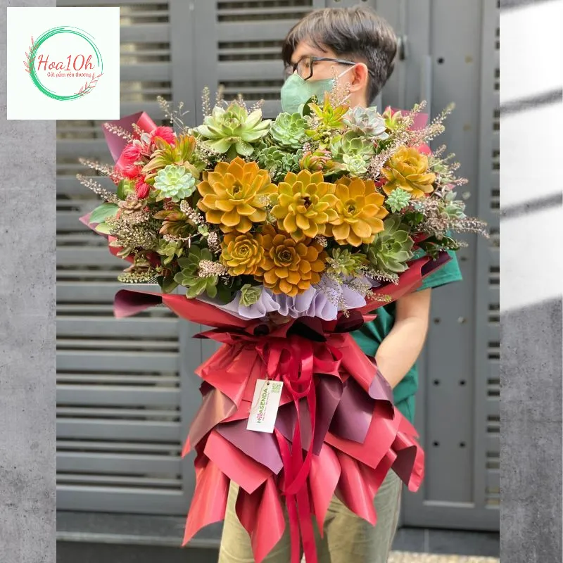 Tặng bó hoa sen đá nhân dịp khai trương