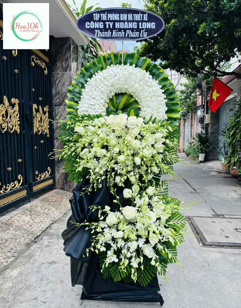 Mẫu hoa đồng tiền trắng đẹp thể hiện trọn vẹn tấm lòng thành kính