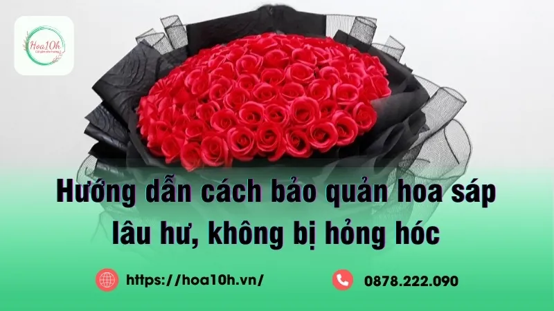 Cách bảo quản hoa sáp đúng chuẩn giúp hoa giữ nguyên màu sắc đẹp mới được bền lâu