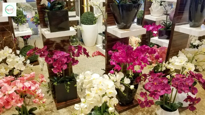 Cắm cành phụ và lá trang trí phù hợp đê nhìn bó hoa cân đối