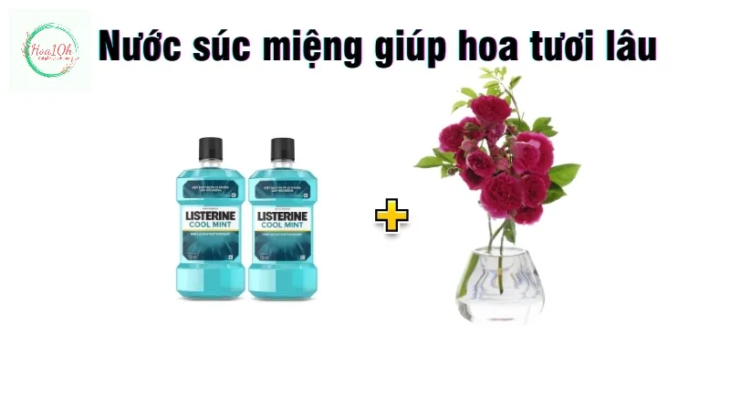 Nước súc miệng giúp nước trong ngăn ngừa được vi khuẩn
