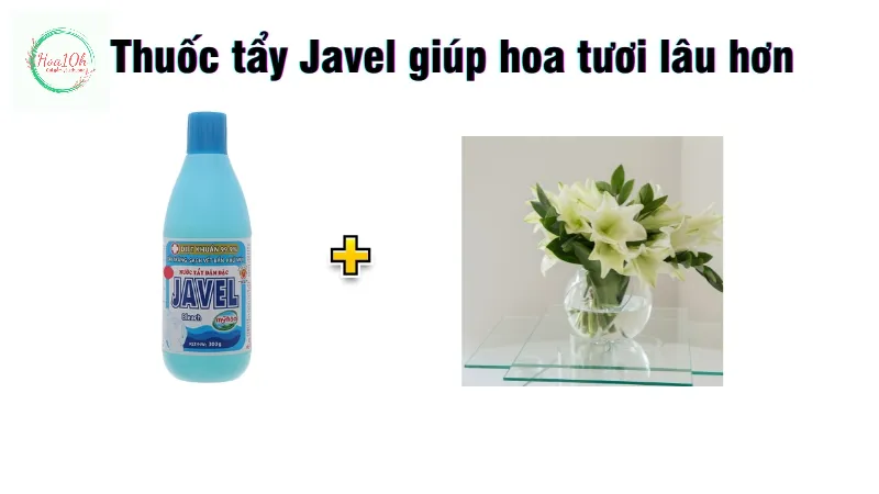 Thuốc tẩy Javel khử trùng và tiêu diệt vi khuẩn