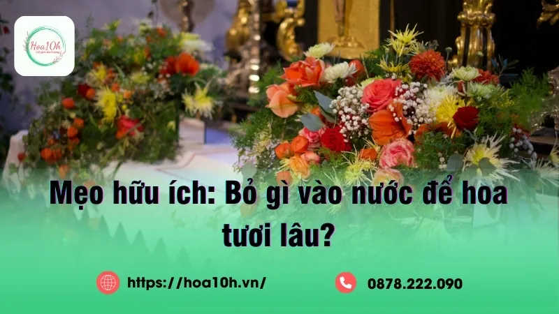 Bỏ gì vào nước để hoa tươi lâu, luôn toả hương tươi mát