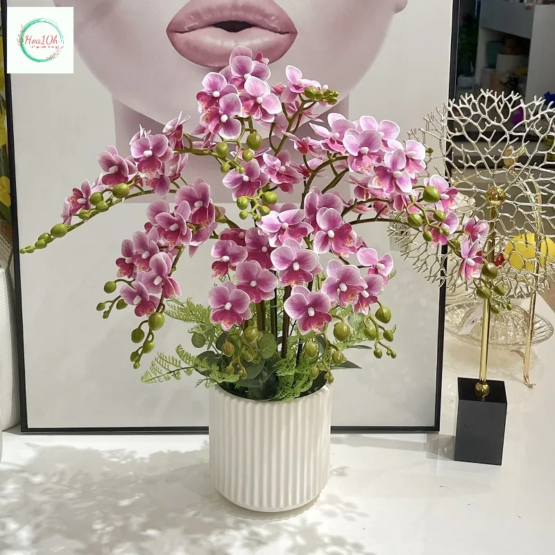 Đặt hoa lan hồ điệp gần tivi